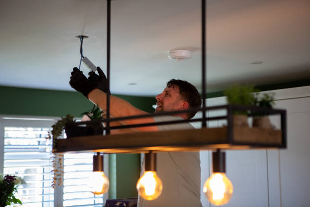Best Electrical Upgrades for Homes  in Lake Fenton, MI