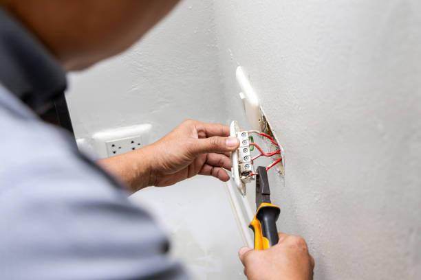 Best Electrical Troubleshooting Services  in Lake Fenton, MI