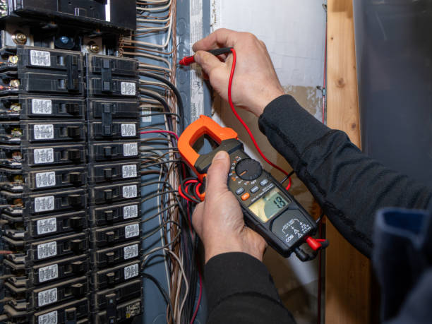 Best Best Electricians Near Me  in Lake Fenton, MI